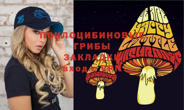 экстази Балахна