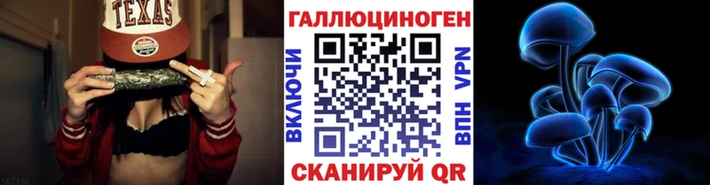 Псилоцибиновые грибы Cubensis Гаврилов-Ям